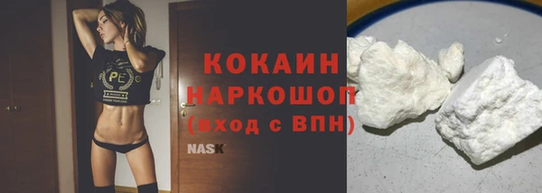 гидра Зеленокумск