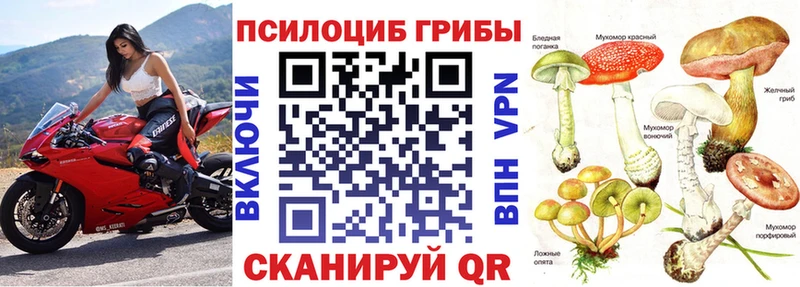 Галлюциногенные грибы Psilocybine cubensis  Купить где  Рыльск 